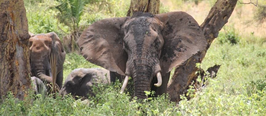 Mount Meru National Park 1