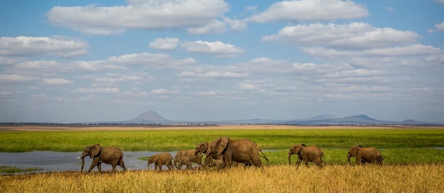 Tarangire National Park 2