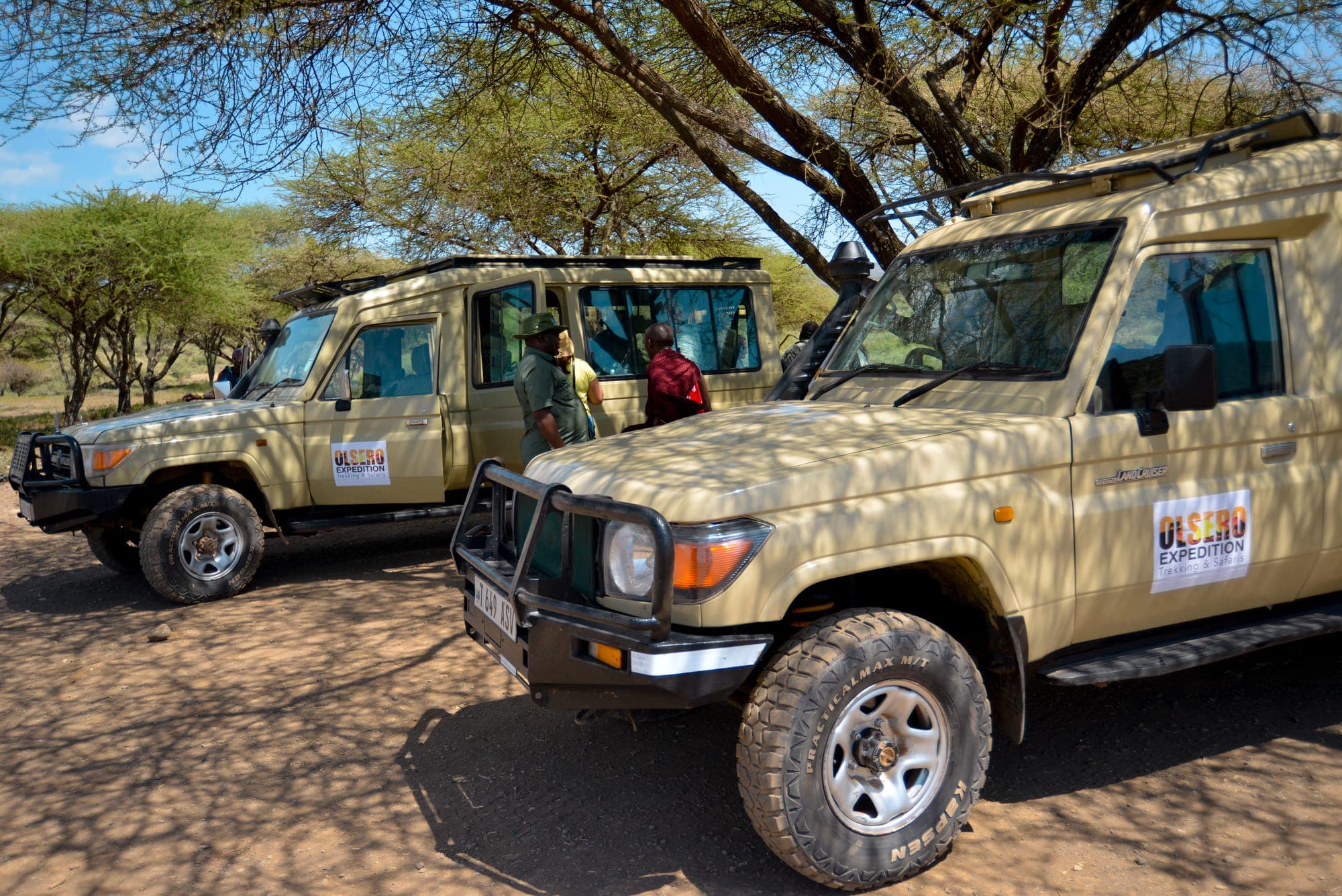 Olsero Expedition safari vehicles parked under acacia trees in Tarangire National Park