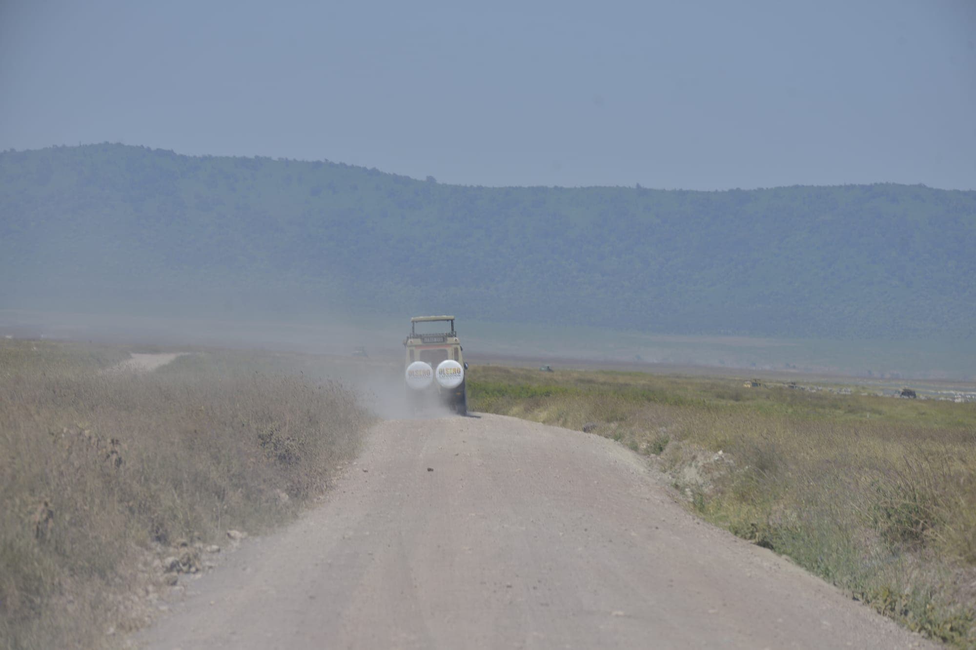A safari vehicle kicking up a trail of dust on a game drive